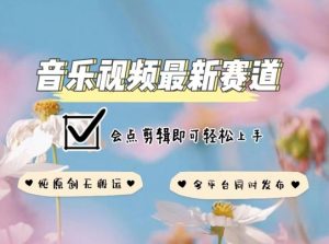 音乐视频赛道最新玩法，纯原创不违规，可所有平台同时发布，会点剪辑即可轻松拿捏【揭秘】-如意资源库