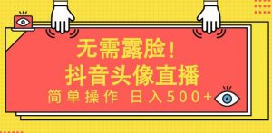 无需露脸，Ai头像直播项目，简单操作日入500+【揭秘】-如意资源库