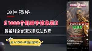 一千个野路子信息差最新玩法教程-变现+引流的玩法具体拆解【揭秘】-如意资源库