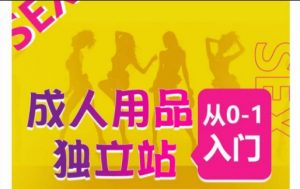 成人用品独立站从0-1入门，成品独立站运营全流程教学，七大好卖成品独立站推荐-如意资源库