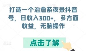 打造一个治愈系夜景抖音号，日收入300+，多方面收益，无脑操作【揭秘】-如意资源库