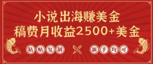 小说出海赚美金,稿费月收益2500+美金,仅需chatgpt粘贴复制,新手也能玩转【揭秘】-如意资源库