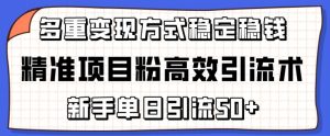精准项目粉高效引流术,新手单日引流50+,多重变现方式稳定赚钱【揭秘】-如意资源库