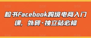 脸书Facebook跨境电商入门课，外贸·独立站必修-如意资源库
