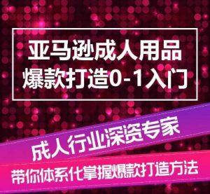 亚马逊成人用品爆款打造0-1入门，系统化讲解亚马逊成人用品爆款打造的流程-如意资源库
