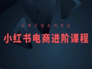 从零开始走向专业，小红书电商进阶课程-如意资源库