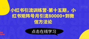 小红书引流训练营-第十五期，小红书矩阵号月引流80000+到微信方法论-如意资源库