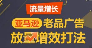亚马逊流量增长-老品广告放量增效打法，循序渐进，打造更多TOP listing​-如意资源库