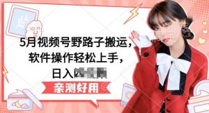 5月视频号野路子搬运,软件操作轻松上手,日入三位数【揭秘】-如意资源库