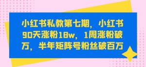 小红书私教第七期，小红书90天涨粉18w，1周涨粉破万，半年矩阵号粉丝破百万-如意资源库