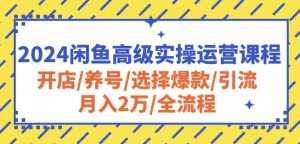 2024闲鱼高级实操运营课程:开店/养号/选择爆款/引流/月入2万/全流程-如意资源库