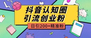 外面收费3980抖音认知圈引流创业粉玩法日引200+精准粉【揭秘】-如意资源库