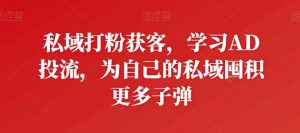 私域打粉获客,学习AD投流,为自己的私域囤积更多子弹-如意资源库
