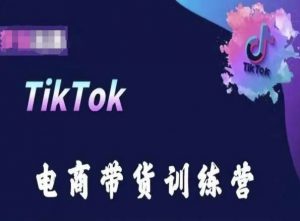TikTok电商带货训练营，跟随时代潮流，跨境掘金-如意资源库
