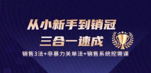 从小新手到销冠 三合一速成:销售3法+非暴力关单法+销售系统挖需课 (27节)-如意资源库
