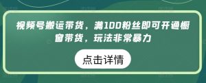 视频号搬运带货，满100粉丝即可开通橱窗带货，玩法非常暴力【揭秘】-如意资源库