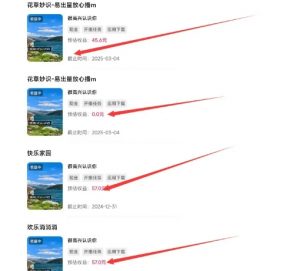 磁力聚星游戏副业陪跑训练营1.0,长期稳定项目,有人一周干了1K+-如意资源库