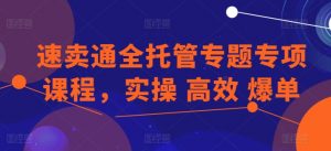 速卖通全托管专题专项课程,实操 高效 爆单-如意资源库