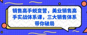 销售高手蜕变营，美业销售高手实战体系课，三大销售体系带你破局-如意资源库