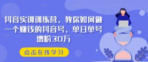 抖音实训训练营，教你如何做一个赚钱的抖音号，单日单号增粉30万-如意资源库