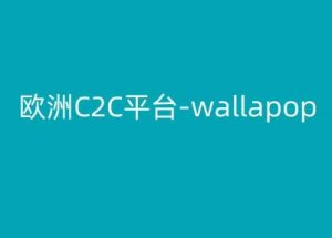 欧洲C2C平台-wallapop-kim跨境电商教程-如意资源库