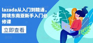 lazada从入门到精通,跨境东南亚新手入门必修课-如意资源库