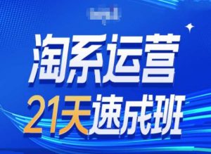 淘系运营24天速成班第28期最新万相台无界带免费流量-如意资源库