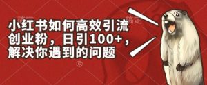 小红书如何高效引流创业粉，日引100+，解决你遇到的问题【揭秘】-如意资源库