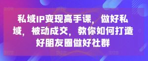 私域IP变现高手课,做好私域,被动成交,教你如何打造好朋友圈做好社群-如意资源库