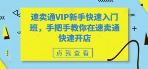 速卖通VIP新手快速入门班，手把手教你在速卖通快速开店-如意资源库