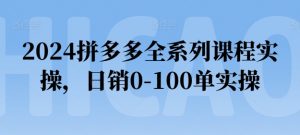 2024拼多多全系列课程实操，日销0-100单实操【必看】-如意资源库