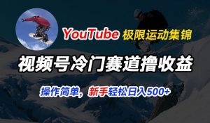 视频号冷门赛道撸收益，YouTube搬运极限运动集锦，暴力起号，操作简单流量高，轻松日入5张【揭秘】-如意资源库