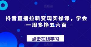 抖音直播拉新变现实操课，学会一周多挣五六百-如意资源库