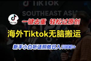 海外Tiktok短视频无脑搬运，一键去重轻松过原创，新手小白听话照做日入几张【揭秘】-如意资源库