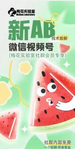 梅花实验室2024年AB技术视频号AB合成破解版-如意资源库