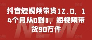 抖音短视频带货12.0,14个月从0到1,短视频带货90万件-如意资源库