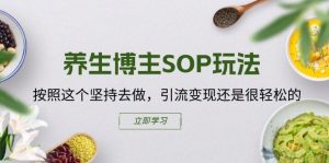 养生博主SOP玩法，按照这个坚持去做，引流变现还是很轻松的-如意资源库