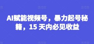 AI赋能视频号,暴力起号秘籍,15 天内必见收益【揭秘】-如意资源库