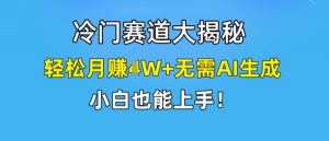 冷门赛道大揭秘，轻松月赚1W+无需AI生成，小白也能上手【揭秘】-如意资源库