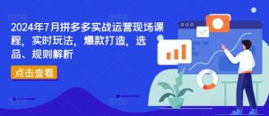 2024年7月拼多多实战运营现场课程,实时玩法,爆款打造,选品、规则解析-如意资源库