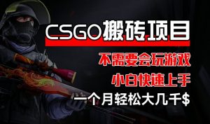 CSGO 装备搬砖项目，操作简单，不需要会玩游戏，小白也能快速上手，一个月轻松大几千【揭秘】-如意资源库