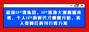 超级IP训练营,IP落地大课震撼来袭,个人IP的时代才刚刚开始,素人变网红的可行性方案-如意资源库