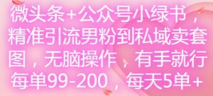 微头条+公众号小绿书，精准引流男粉到私域卖套图，无脑操作，有手就行，每单99-200，每天5单-如意资源库