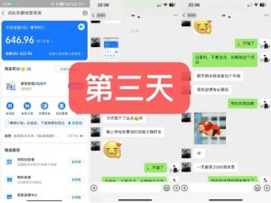 货币掘金项目,3天卖了2720!新项目内测组【限10人】-如意资源库