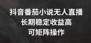 抖音番茄小说无人直播，长期稳定收益高，可矩阵操作【揭秘】-如意资源库