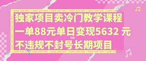 独家项目卖冷门教学课程一单88元单日变现5632元违规不封号长期项目【揭秘】-如意资源库
