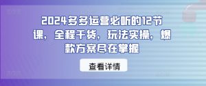 2024多多运营必听的12节课,全程干货,玩法实操,爆款方案尽在掌握-如意资源库