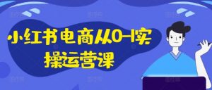 小红书电商从0-1实操运营课,小红书手机实操小红书/IP和私域课/小红书电商电脑实操板块等-如意资源库