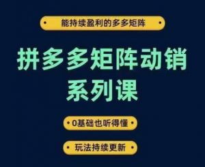 拼多多矩阵动销系列课，能持续盈利的多多矩阵，0基础也听得懂，玩法持续更新-如意资源库