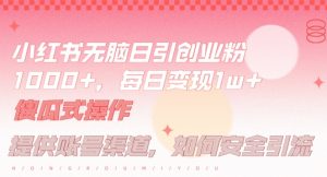 小红书无脑每日引流创业粉500+，小白每天只花半小时，躺赚长尾收益【揭秘】-如意资源库